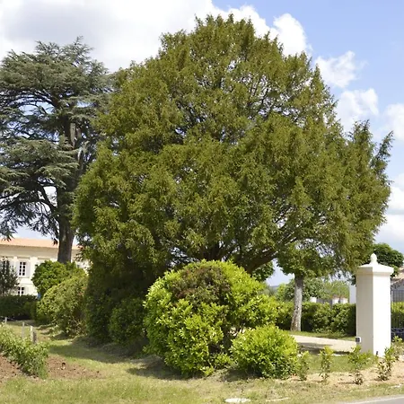 Chateau Nardon Crimon