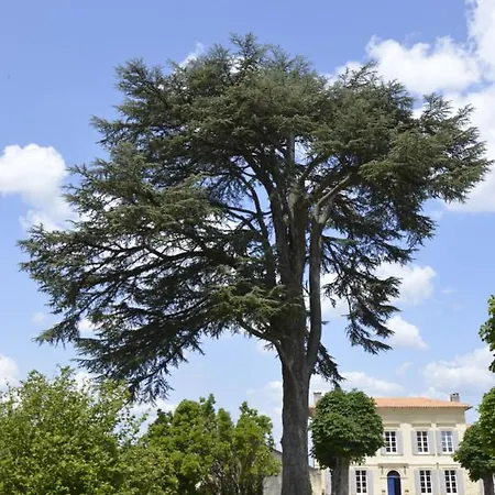 Chateau Nardon Crimon Vendégház 3*